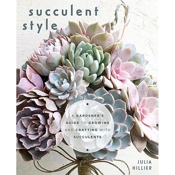 Succulent Style, Julia Hillier