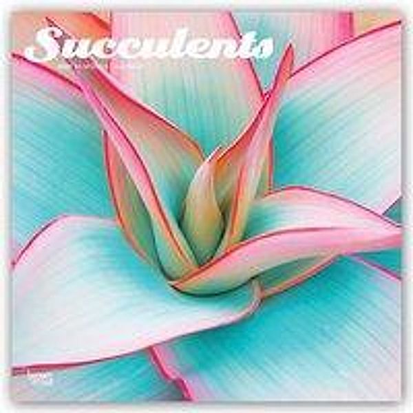 Succulents - Sukkulente 2021 - 16-Monatskalender, BrownTrout Publisher