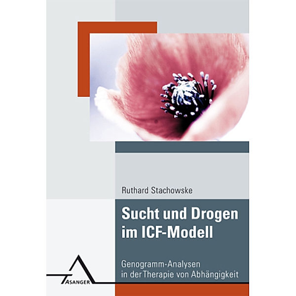 Sucht und Drogen im ICF-Modell, Ruthard Stachowske