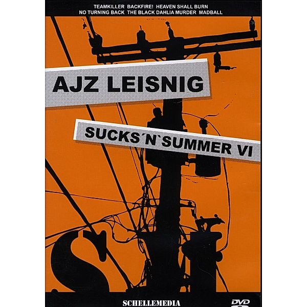 Sucks'N'Summer Vi-Leisnig, Diverse Interpreten