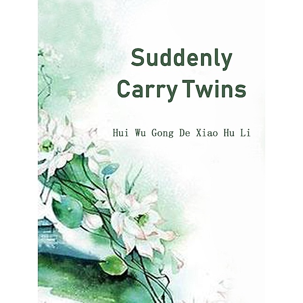 Suddenly Carry Twins / Funstory, Hui WuGongDeXiaoHuLi