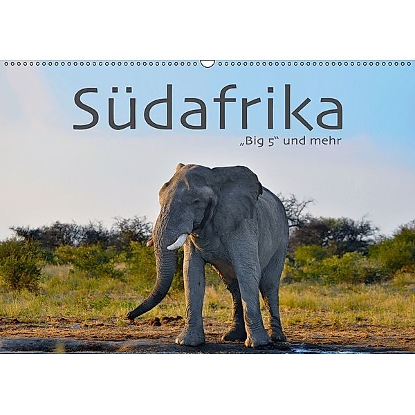 Südafrika - Big 5 und mehr (Wandkalender 2018 DIN A2 quer) Dieser erfolgreiche Kalender wurde dieses Jahr mit gleichen B, Robert Styppa