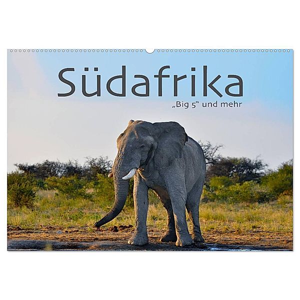 Südafrika - Big 5 und mehr (Wandkalender 2024 DIN A2 quer), CALVENDO Monatskalender, Robert Styppa