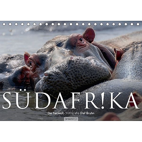 Südafrika - Die Tierwelt (Tischkalender 2018 DIN A5 quer), Olaf Bruhn