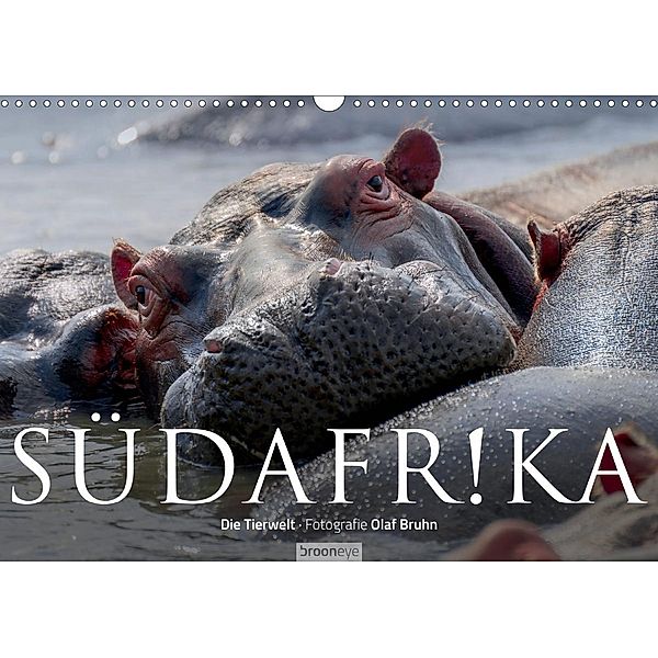 Südafrika - Die Tierwelt (Wandkalender 2021 DIN A3 quer), Olaf Bruhn