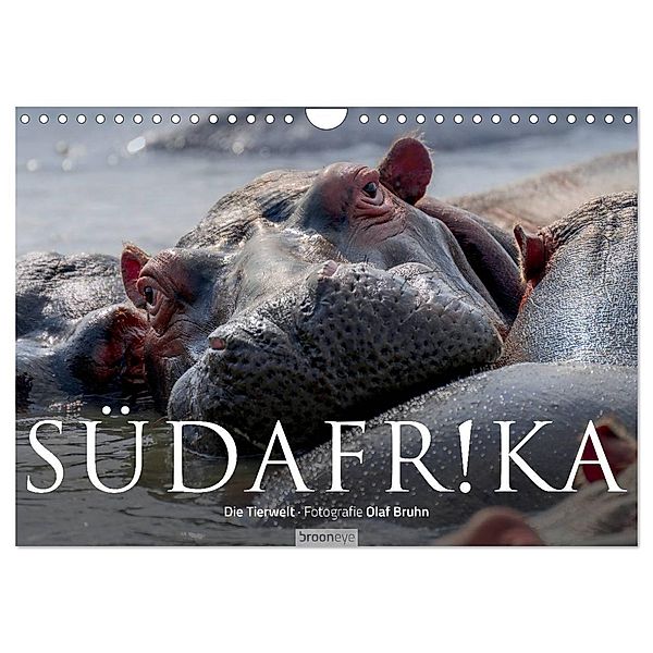 Südafrika - Die Tierwelt (Wandkalender 2024 DIN A4 quer), CALVENDO Monatskalender, Olaf Bruhn