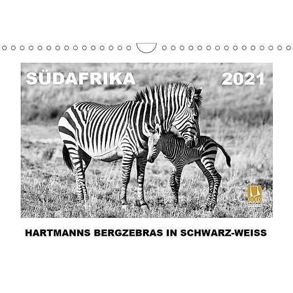 SÜDAFRIKA Hartmanns Bergzebras in schwarz-weiss (Wandkalender 2021 DIN A4 quer), Thula