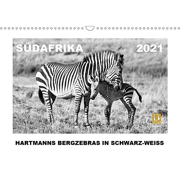 SÜDAFRIKA Hartmanns Bergzebras in schwarz-weiss (Wandkalender 2021 DIN A3 quer), Thula