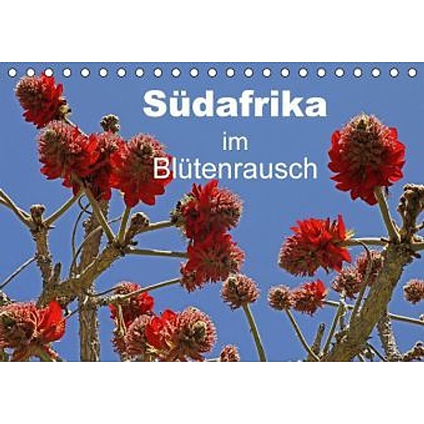 Südafrika im Blütenrausch (Tischkalender 2015 DIN A5 quer), Michael Herzog