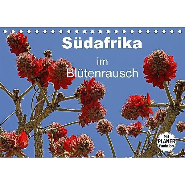 Südafrika im Blütenrausch (Tischkalender 2017 DIN A5 quer), Michael Herzog