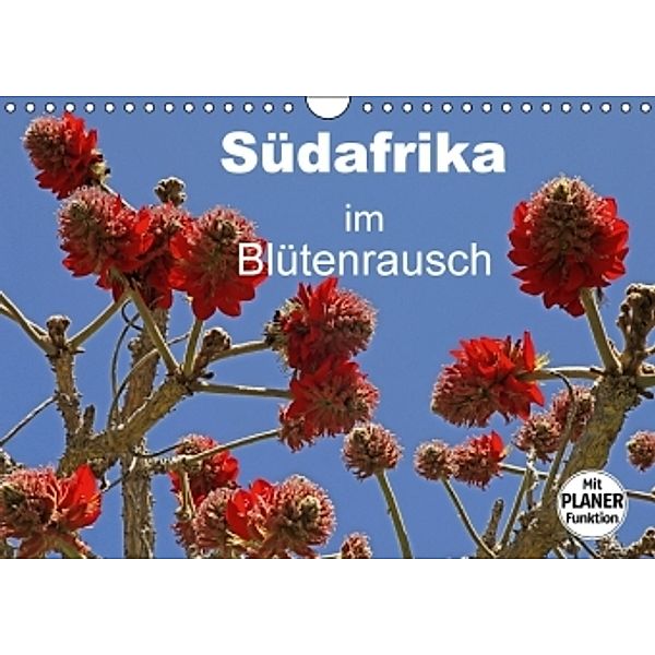 Südafrika im Blütenrausch (Wandkalender 2016 DIN A4 quer), Michael Herzog