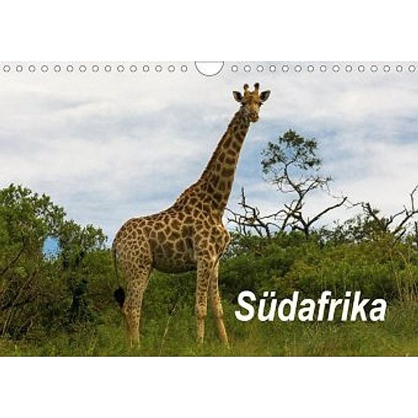 Südafrika (Wandkalender 2020 DIN A4 quer), Dieter Gödecke