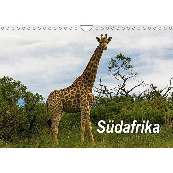 Südafrika (Wandkalender 2023 DIN A4 quer), Dieter Gödecke