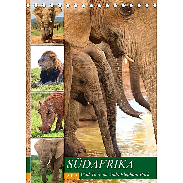 SÜDAFRIKA Wild-Tiere im Addo Elephant Park (Tischkalender 2023 DIN A5 hoch), Barbara Fraatz