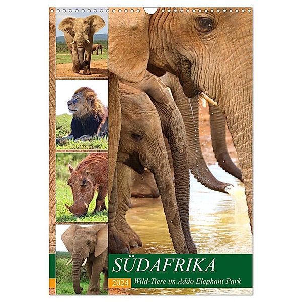 SÜDAFRIKA Wild-Tiere im Addo Elephant Park (Wandkalender 2024 DIN A3 hoch), CALVENDO Monatskalender, Barbara Fraatz