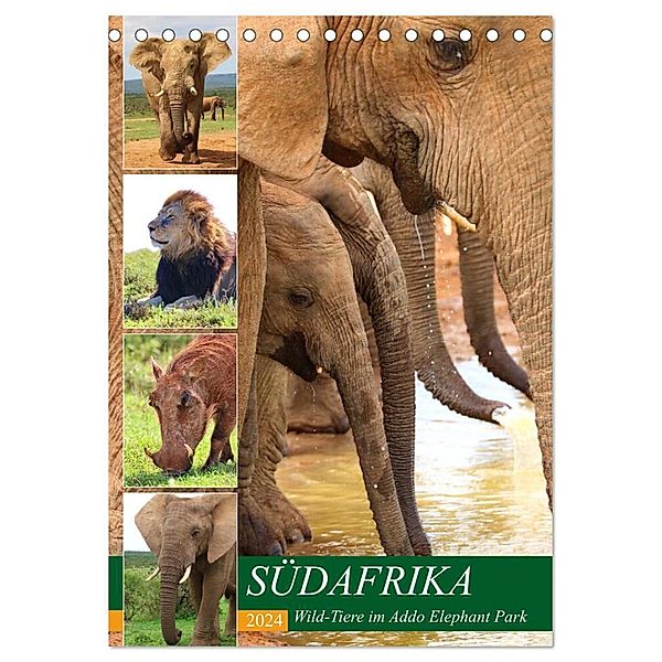 SÜDAFRIKA Wild-Tiere im Addo Elephant Park (Tischkalender 2024 DIN A5 hoch), CALVENDO Monatskalender, Barbara Fraatz