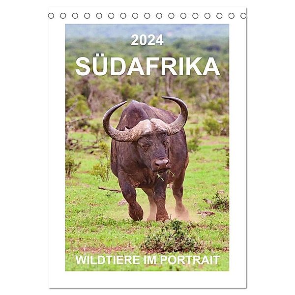 SÜDAFRIKA - WILDTIERE IM PORTRAIT (Tischkalender 2024 DIN A5 hoch), CALVENDO Monatskalender, Barbara Fraatz