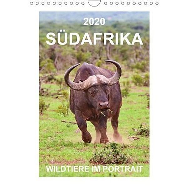 SÜDAFRIKA - WILDTIERE IM PORTRAIT (Wandkalender 2020 DIN A4 hoch), Barbara Fraatz