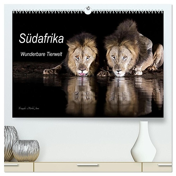 Südafrika wunderbare Tierwelt (hochwertiger Premium Wandkalender 2024 DIN A2 quer), Kunstdruck in Hochglanz, Michèle Junio