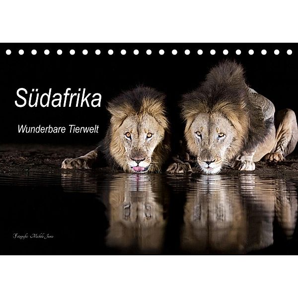 Südafrika wunderbare Tierwelt (Tischkalender 2023 DIN A5 quer), Michèle Junio
