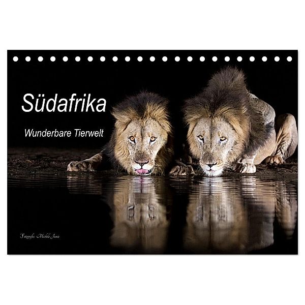 Südafrika wunderbare Tierwelt (Tischkalender 2024 DIN A5 quer), CALVENDO Monatskalender, Michèle Junio