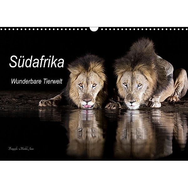Südafrika wunderbare Tierwelt (Wandkalender 2023 DIN A3 quer), Michèle Junio