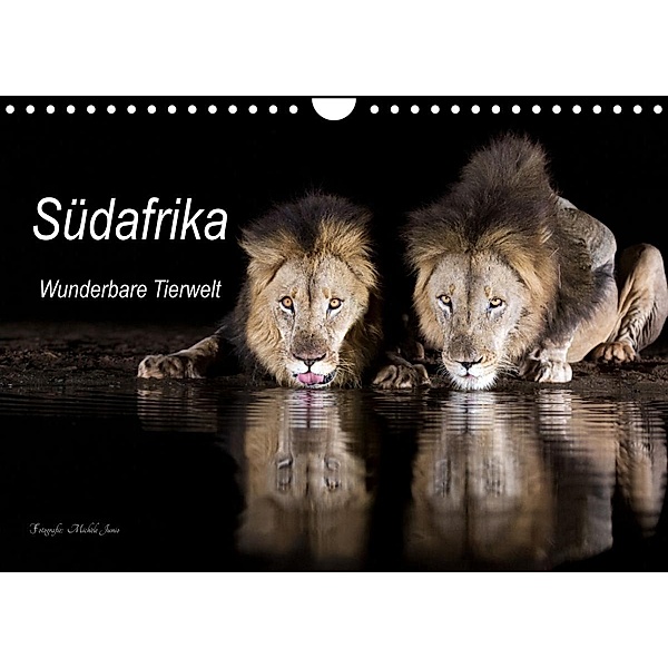 Südafrika wunderbare Tierwelt (Wandkalender 2023 DIN A4 quer), Michèle Junio