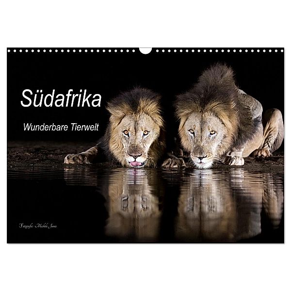 Südafrika wunderbare Tierwelt (Wandkalender 2025 DIN A3 quer), CALVENDO Monatskalender, Calvendo, Michèle Junio