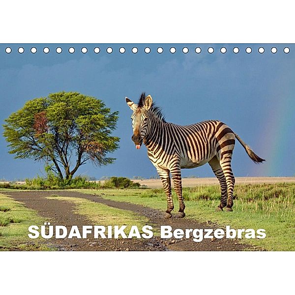 SÜDAFRIKAS Bergzebras (Tischkalender 2021 DIN A5 quer), Thula