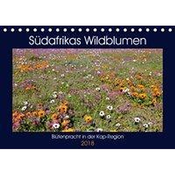 Südafrikas Wildblumen - Blütenpracht in der Kap-Region (Tischkalender 2018 DIN A5 quer), Michael Herzog