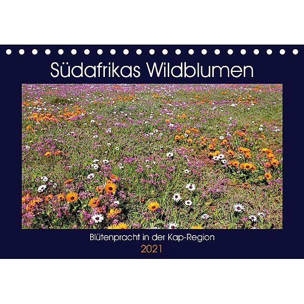 Südafrikas Wildblumen - Blütenpracht in der Kap-Region (Tischkalender 2021 DIN A5 quer), Michael Herzog