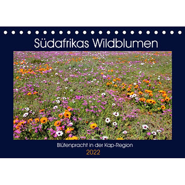 Südafrikas Wildblumen - Blütenpracht in der Kap-Region (Tischkalender 2022 DIN A5 quer), Michael Herzog