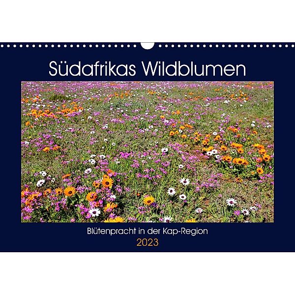 Südafrikas Wildblumen - Blütenpracht in der Kap-Region (Wandkalender 2023 DIN A3 quer), Michael Herzog