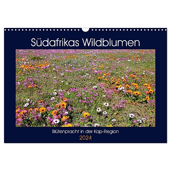 Südafrikas Wildblumen - Blütenpracht in der Kap-Region (Wandkalender 2024 DIN A3 quer), CALVENDO Monatskalender, Michael Herzog