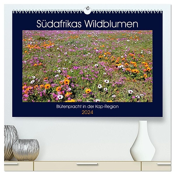 Südafrikas Wildblumen - Blütenpracht in der Kap-Region (hochwertiger Premium Wandkalender 2024 DIN A2 quer), Kunstdruck in Hochglanz, Michael Herzog