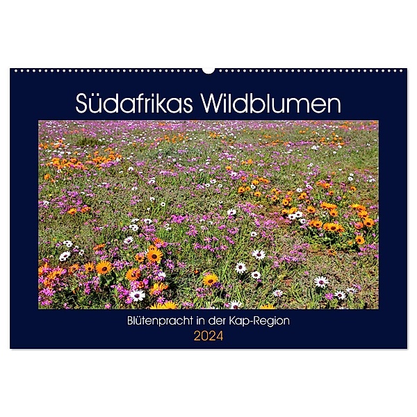 Südafrikas Wildblumen - Blütenpracht in der Kap-Region (Wandkalender 2024 DIN A2 quer), CALVENDO Monatskalender, Michael Herzog
