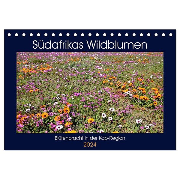 Südafrikas Wildblumen - Blütenpracht in der Kap-Region (Tischkalender 2024 DIN A5 quer), CALVENDO Monatskalender, Michael Herzog