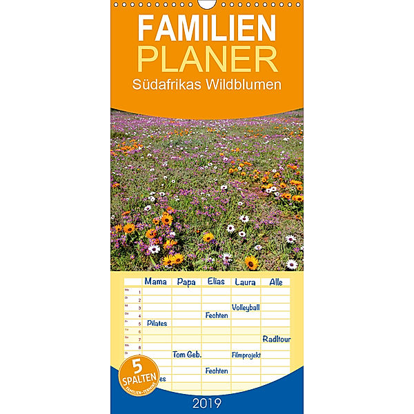 Südafrikas Wildblumen - Familienplaner hoch (Wandkalender 2019 , 21 cm x 45 cm, hoch), Michael Herzog