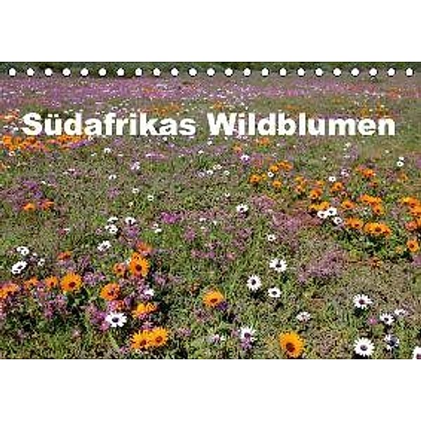 Südafrikas Wildblumen (Tischkalender 2016 DIN A5 quer), Michael Herzog
