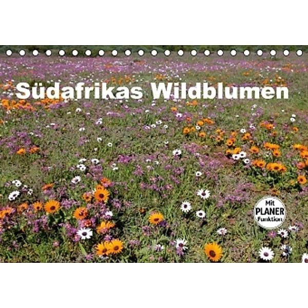 Südafrikas Wildblumen (Tischkalender 2016 DIN A5 quer), Michael Herzog