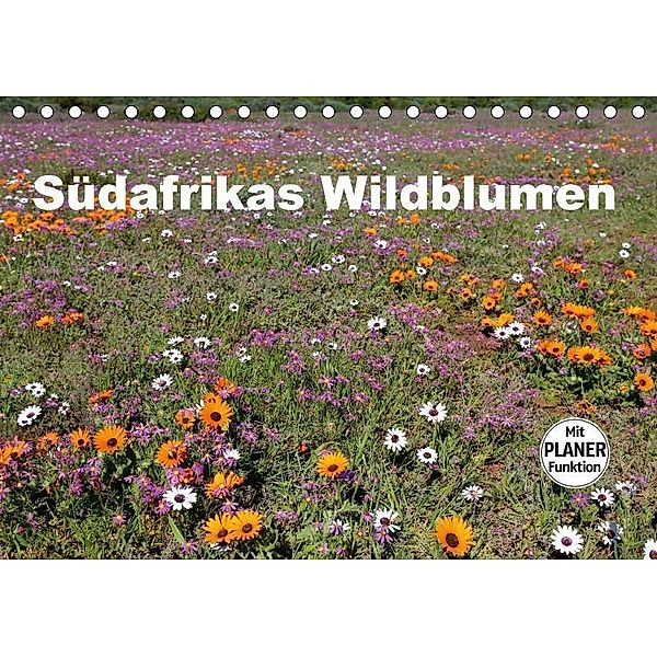 Südafrikas Wildblumen (Tischkalender 2017 DIN A5 quer), Michael Herzog