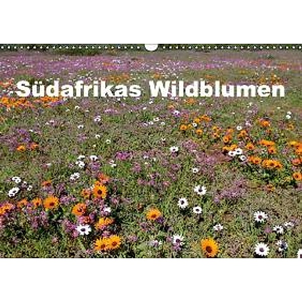 Südafrikas Wildblumen (Wandkalender 2016 DIN A3 quer), Michael Herzog