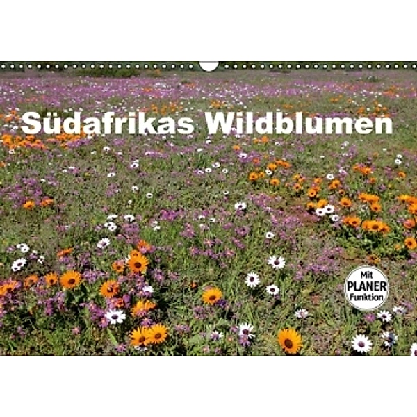 Südafrikas Wildblumen (Wandkalender 2016 DIN A3 quer), Michael Herzog