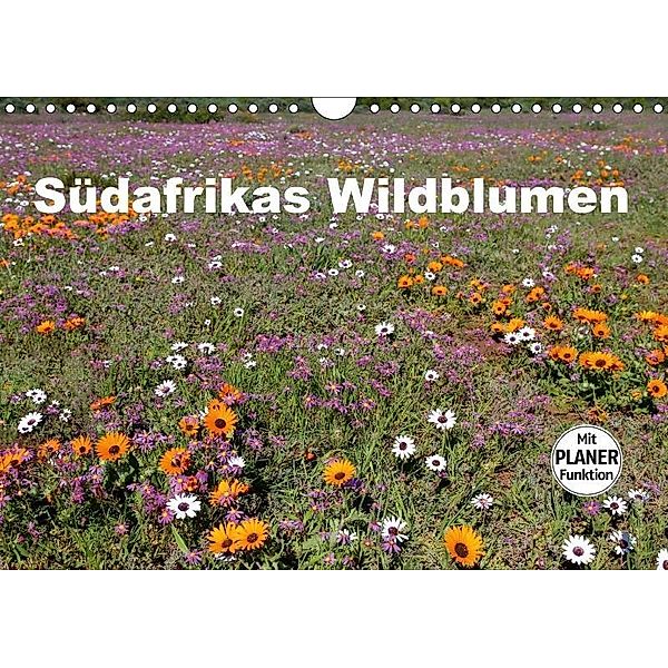 Südafrikas Wildblumen (Wandkalender 2017 DIN A4 quer), Michael Herzog