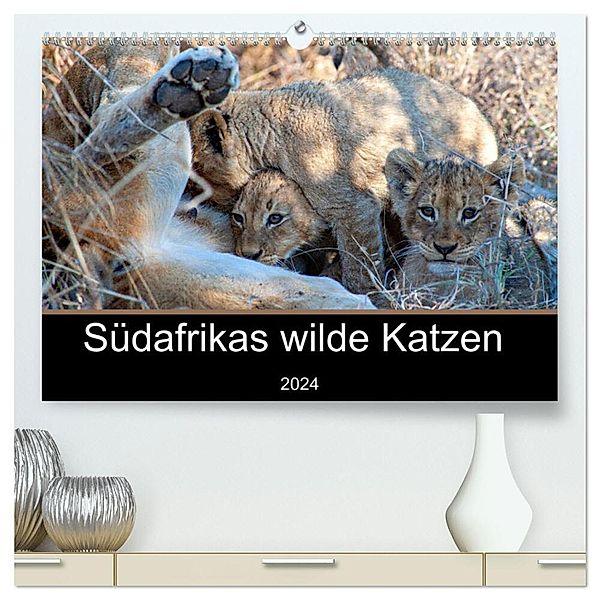 Südafrikas wilde Katzen (hochwertiger Premium Wandkalender 2024 DIN A2 quer), Kunstdruck in Hochglanz, Markus A. Bissig