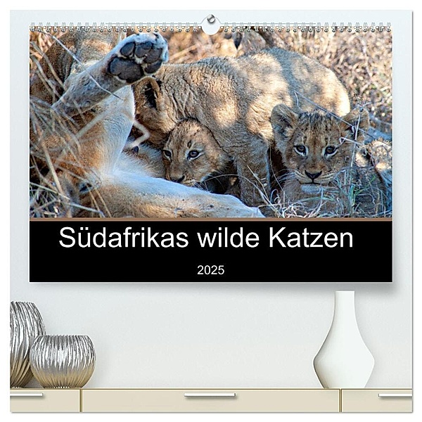 Südafrikas wilde Katzen (hochwertiger Premium Wandkalender 2025 DIN A2 quer), Kunstdruck in Hochglanz, Calvendo, Markus A. Bissig
