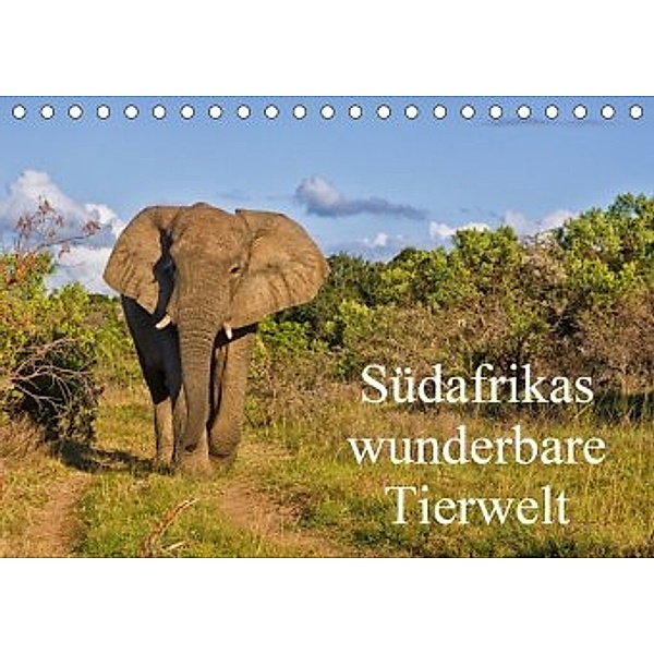 Südafrikas wunderbare Tierwelt (Tischkalender 2020 DIN A5 quer), Friedhelm Peters