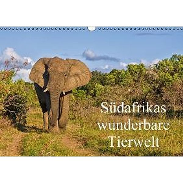 Südafrikas wunderbare Tierwelt (Wandkalender 2015 DIN A3 quer), Friedhelm Peters