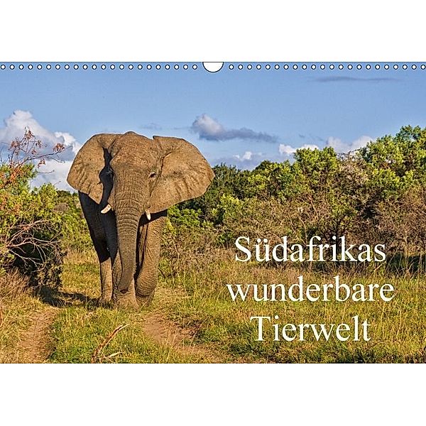 Südafrikas wunderbare Tierwelt (Wandkalender 2017 DIN A3 quer), Friedhelm Peters