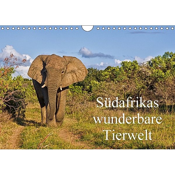 Südafrikas wunderbare Tierwelt (Wandkalender 2018 DIN A4 quer), Friedhelm Peters